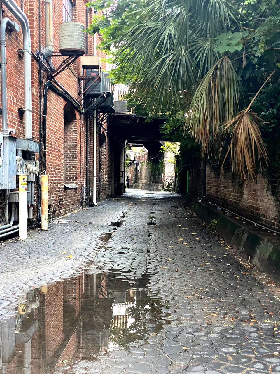 La Ruelle Savannah Ruelle Flaque - Photo gratuite sur Pixabay - Pixabay