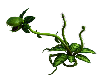 Free Snapdragon Plant illustration and picture