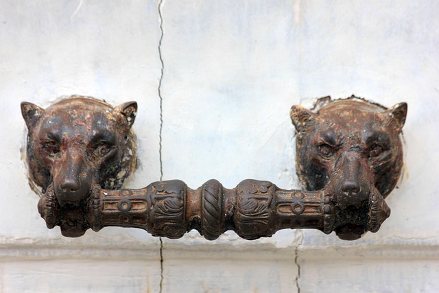 Free Door Handle Door photo and picture