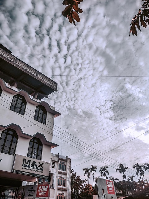 Free Assam Mobile photo and picture