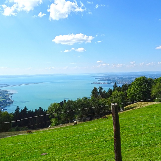 Free Lake Constance Nature photo and picture