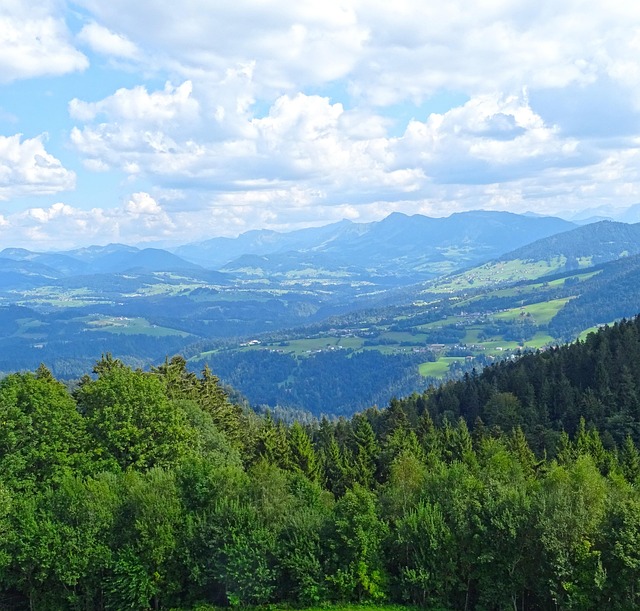 Free Mountains Forest photo and picture