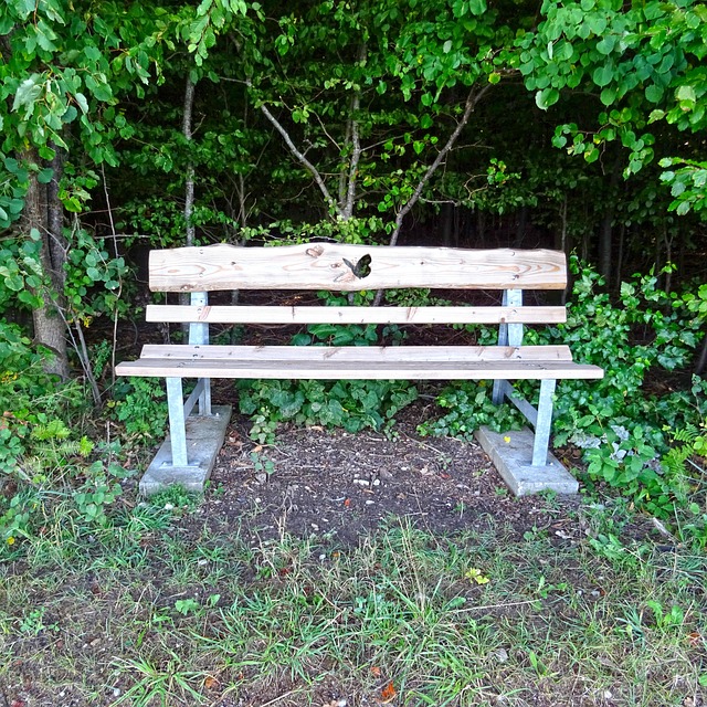 Free Nature Bank photo and picture