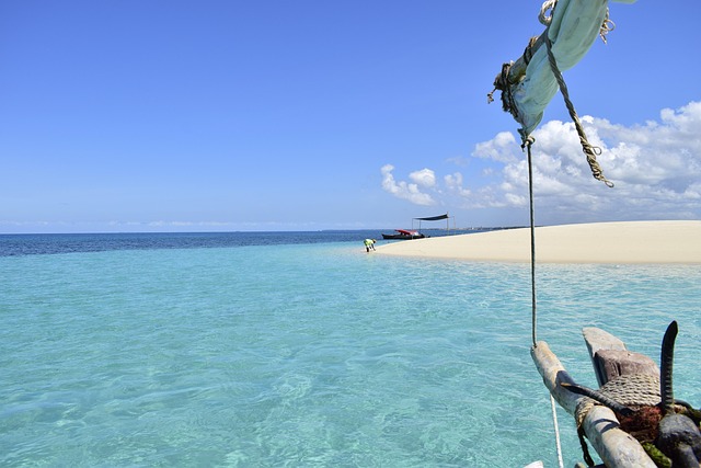 Free Zanzibar Sand Bank photo and picture