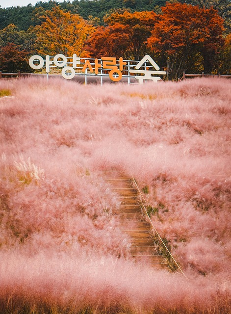 Free Autumn Nature photo and picture