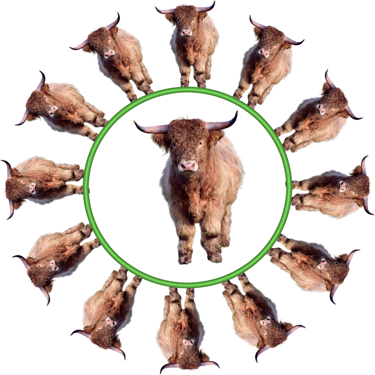 Banteng Bulat Lingkaran Gambar Gratis Di Pixabay Pixabay