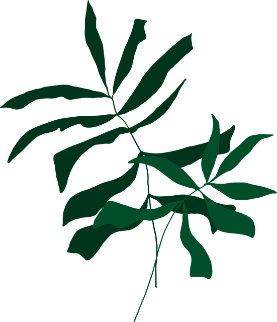 Free leaves foliage boho art vector