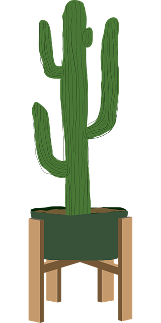 Free boho art cactus plant vector
