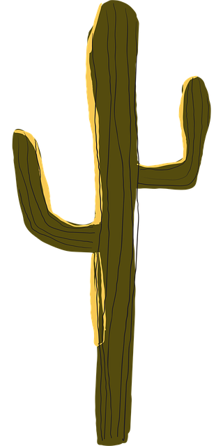 Free cactus plant boho art vector