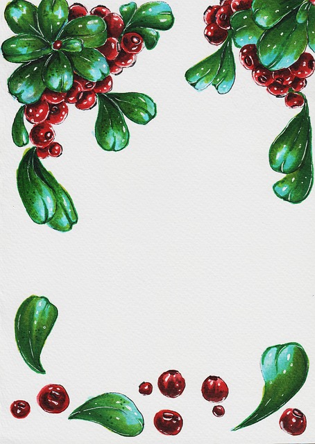 Free cranberries painting frame illustration