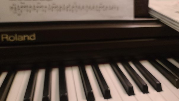 Free Piano Electronic Piano photo and picture