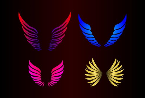 Free Wings Bird photo and picture