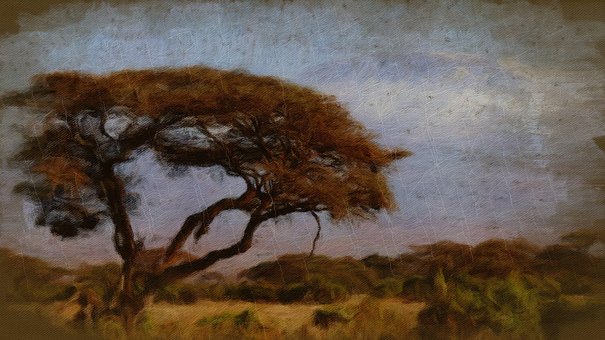 Afrika, Strom, Příroda, Malování