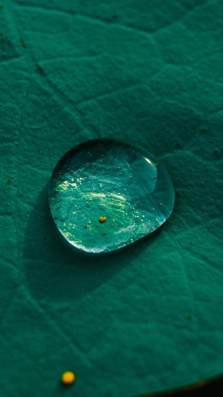 Water Droplet Lotus Leaf Plant Free photo on Pixabay Pixabay
