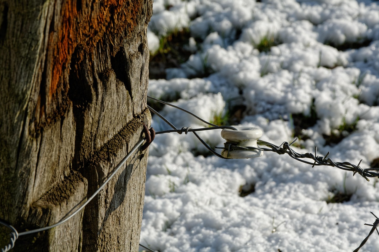 Insulator Landscape Snow Free photo on Pixabay Pixabay