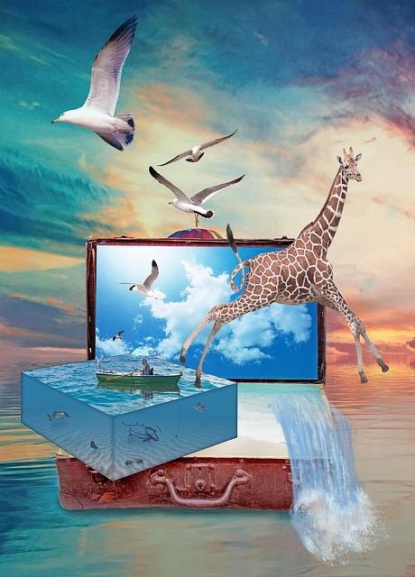 Fall, Koffer, Giraffe, Tierwelt, Surreal