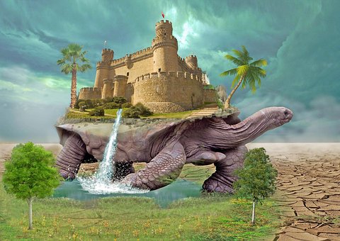Schildkröte, Schildkröten, Schloss