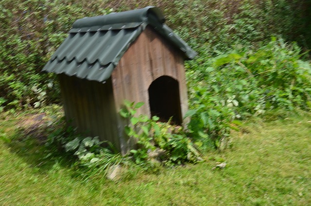 Free Hut Shelter photo and picture