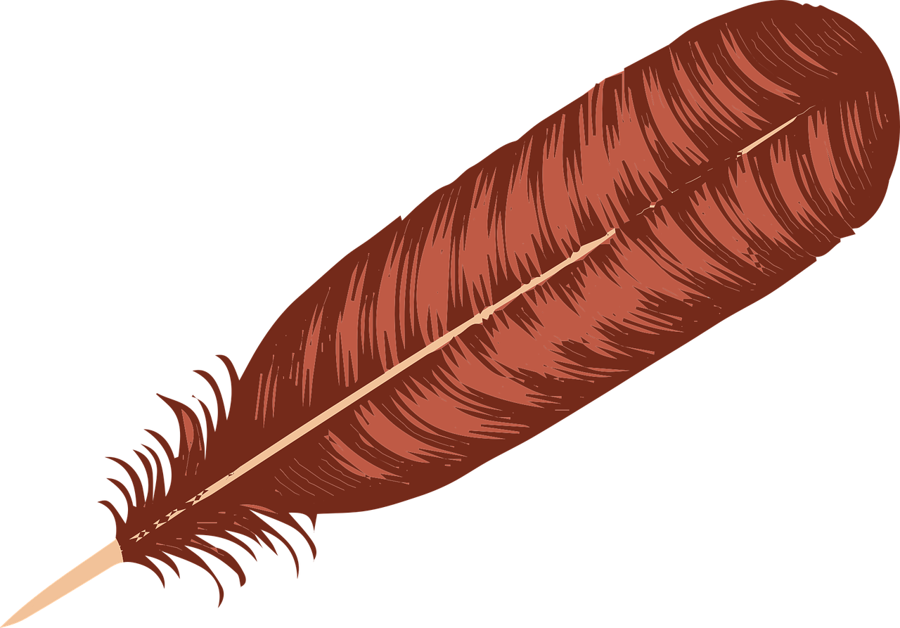  Pixabay Pixabay