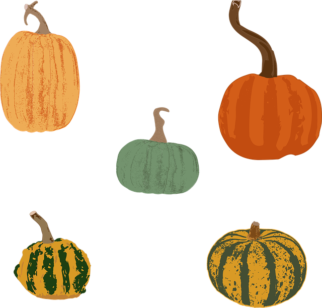 Free pumpkins squash gourds illustration