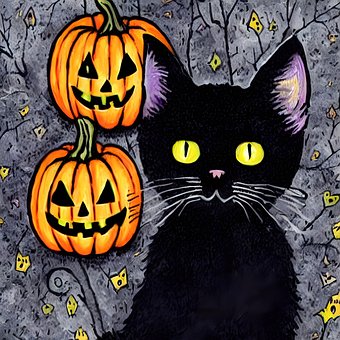 Free Halloween Black Cat photo and picture