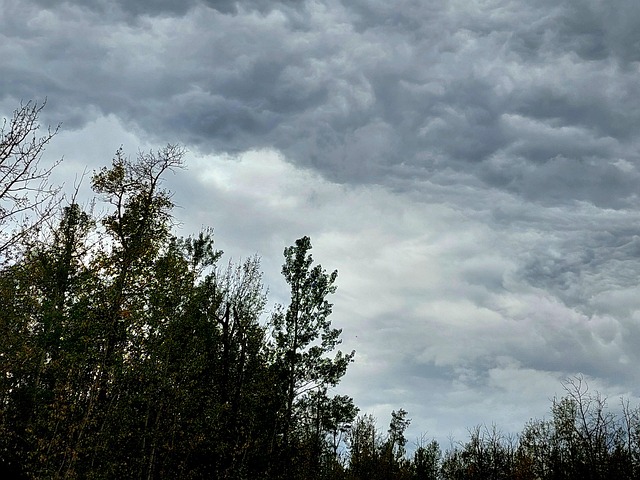 Free Weather Raining photo and picture