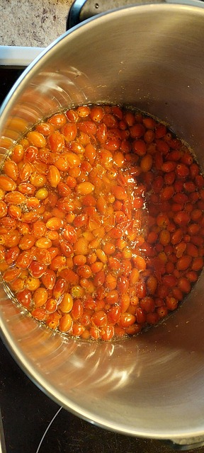 Free Rosehips Canning photo and picture