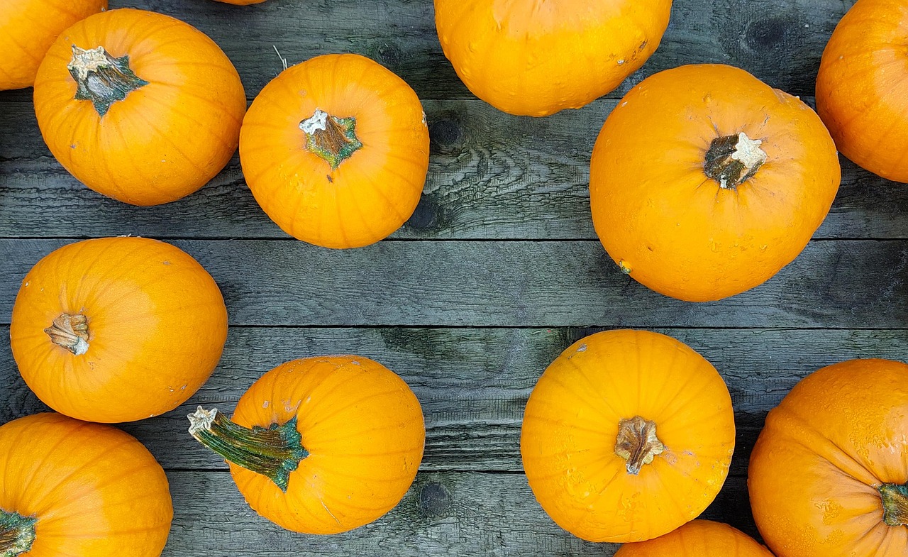 Download free HD stock image of Kalabash Pumpkins Free Kalabash Pumpkins photo and picture