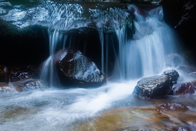 Fluss, Steine, Wald, Strom, Fließen