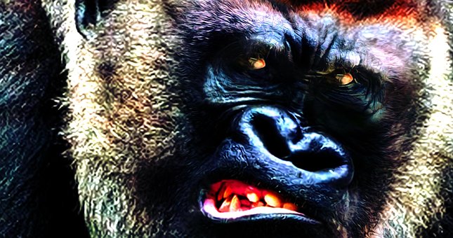 Free King Animal photo and picture