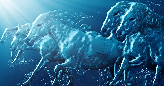 Free Water Horse Fantasy photo and picture