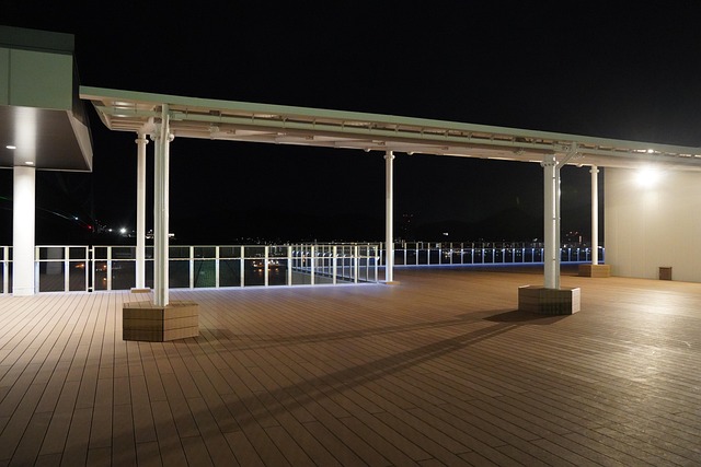 Free Stage Night photo and picture