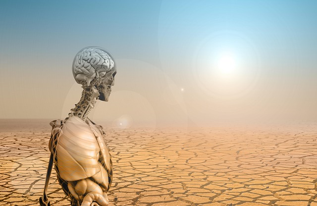 Free brain climate change silhouette illustration