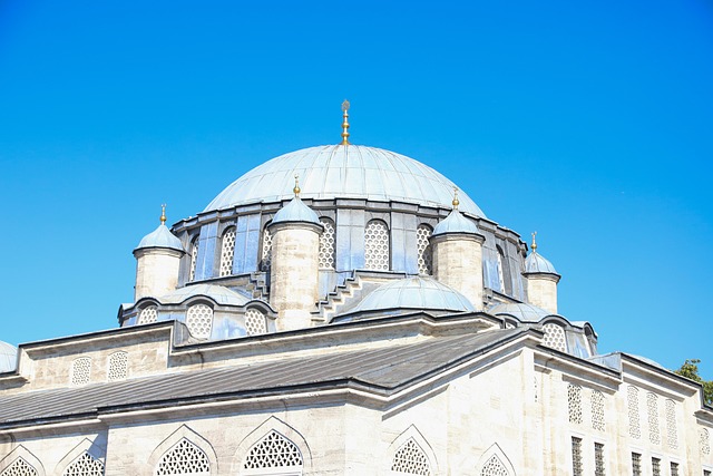 Free Mosque Istanbul photo and picture