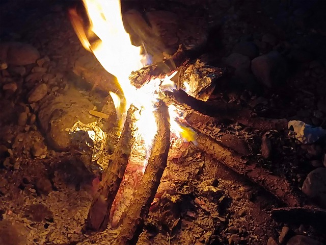Free Bone Fire Fire photo and picture