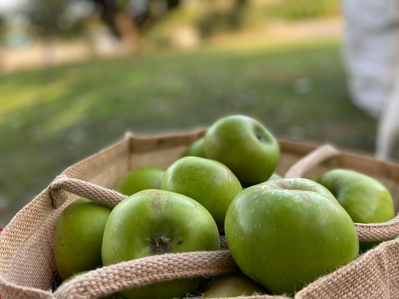 Äpfel Lebensmittel Obst Auf - Kostenloses Foto auf Pixabay - Pixabay Äpfel Lebensmittel Obst Auf - Kostenloses Foto auf Pixabay - Pixabay