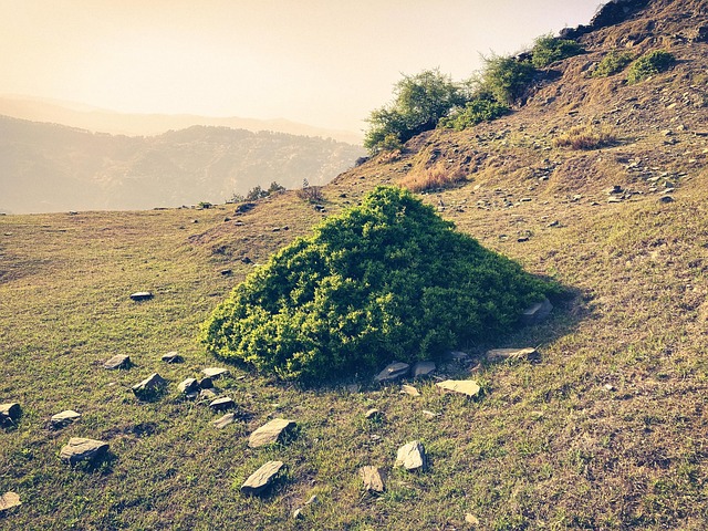 Free Landscape Mountain photo and picture