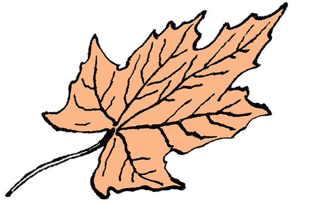 Download free HD stock image of Autumn Leaf Nature Free autumn leaf nature autumn vector