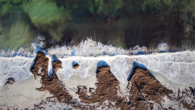 Free Seaside Beach photo and picture