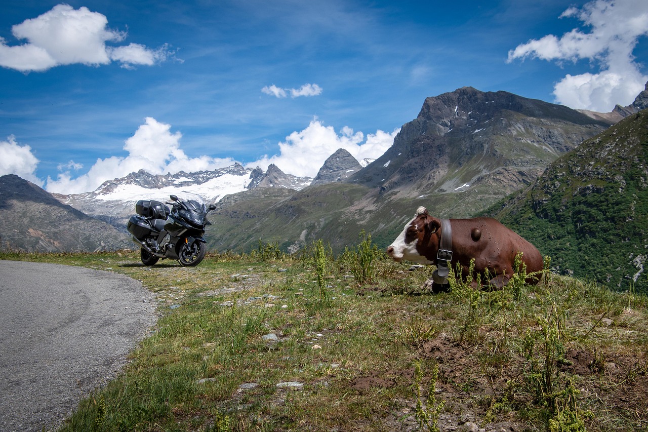Landscape - free online jigsaw puzzle photo