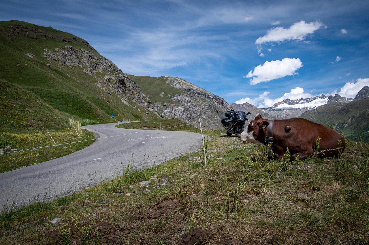 Landscape - free online jigsaw puzzle photo