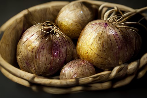 Free Onions Vegetables photo and picture