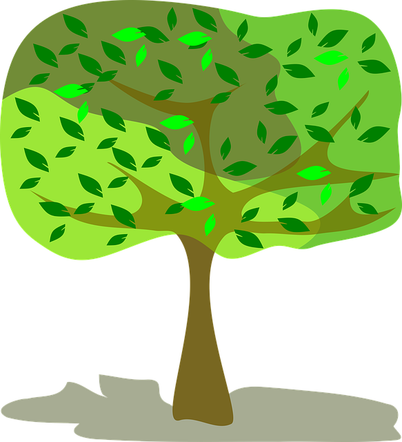 Árbol, Sale De, Naturaleza, Bosque