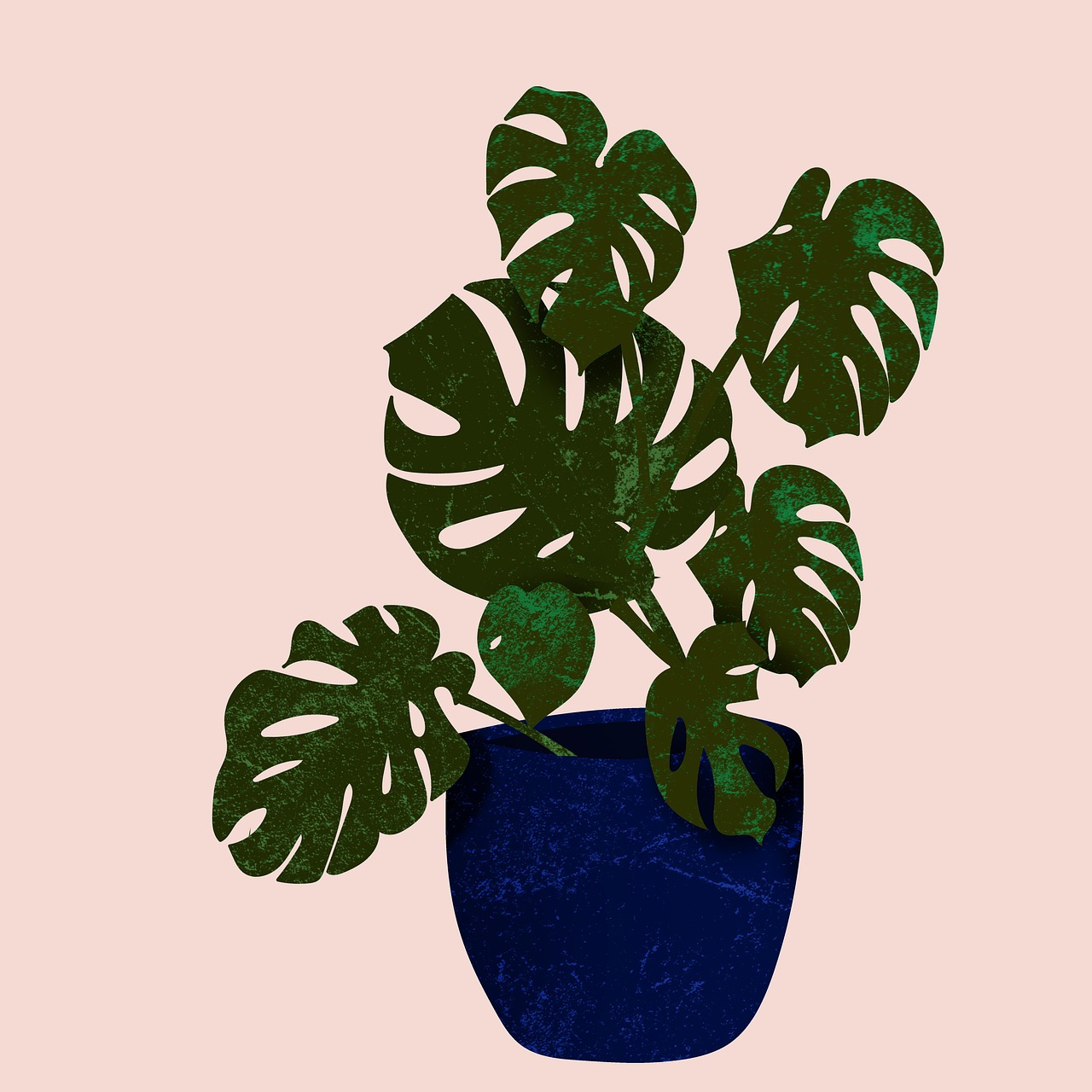 download-monstera-plant-nature-royalty-free-stock-illustration-image