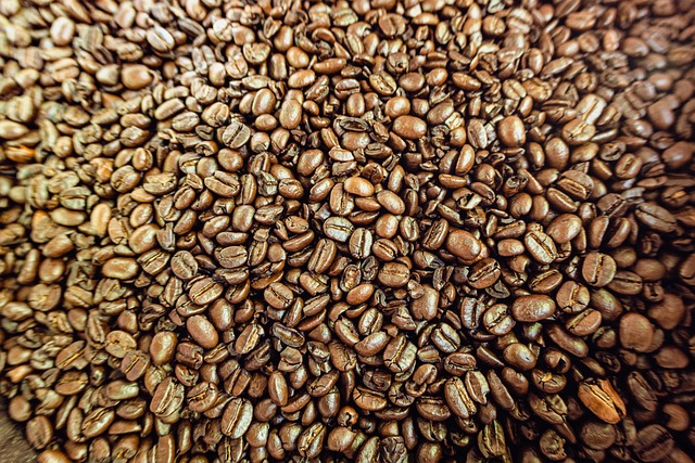 Free Coffee Beans photo and picture