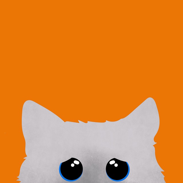 Free cat pet background illustration