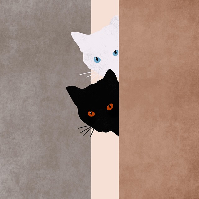 Free cats pets nature illustration