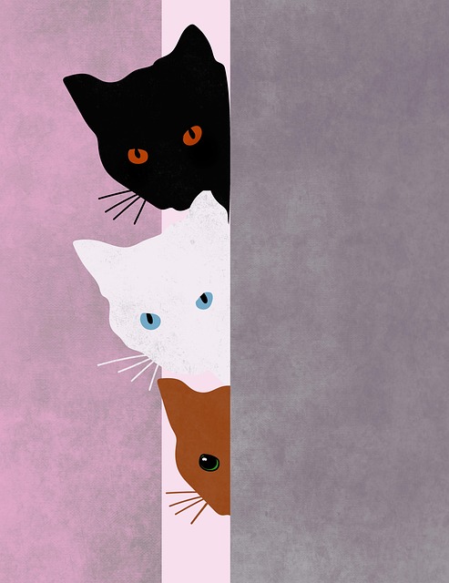 Free cats pets background illustration