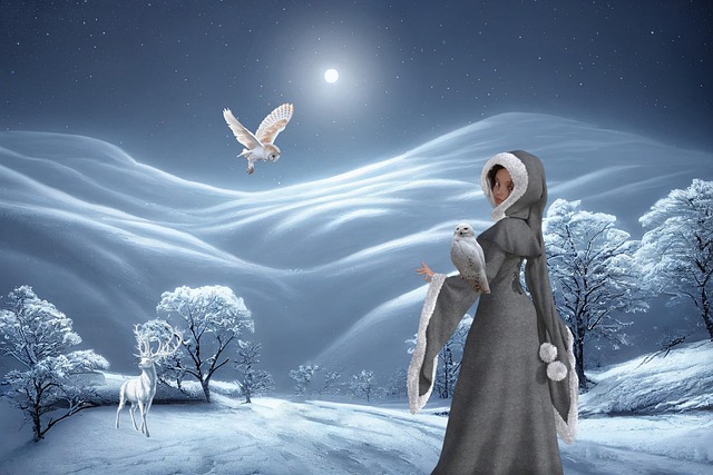Free background winter snow queen illustration