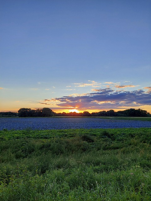 Free Sunset Nature photo and picture